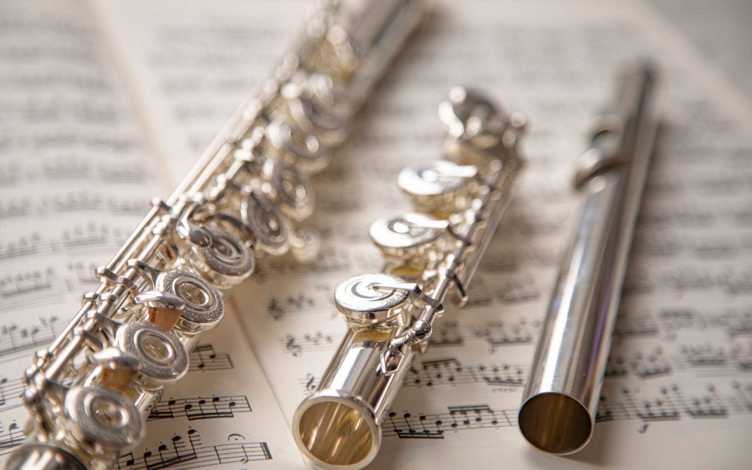 Flute Lessons for Kids and Adults
